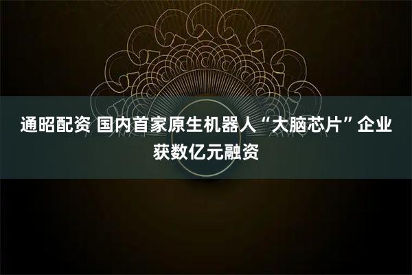 通昭配资 国内首家原生机器人“大脑芯片”企业获数亿元融资