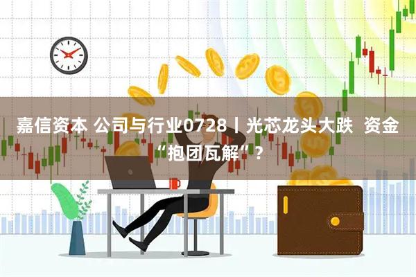 嘉信资本 公司与行业0728丨光芯龙头大跌  资金“抱团瓦解”？